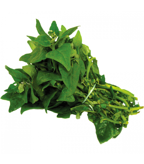 Espinafre