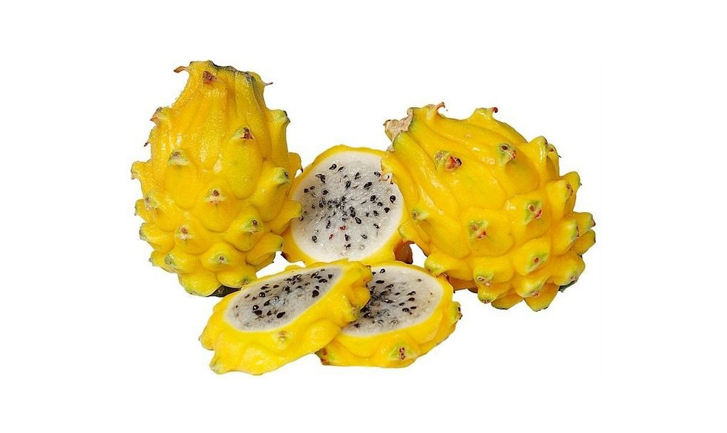Pitaya Amarela
