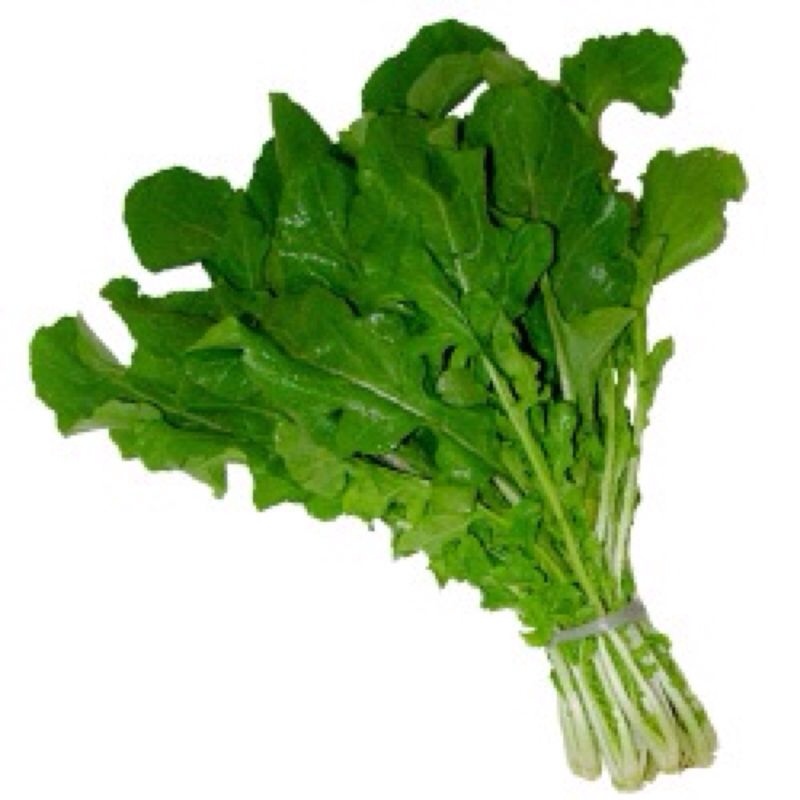 Rúcula
