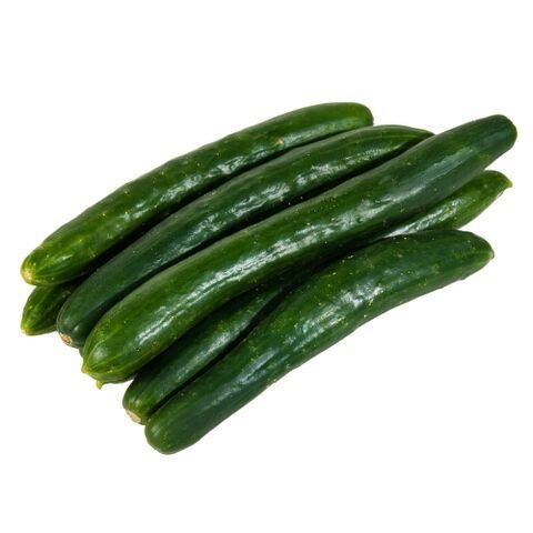 pepino japones